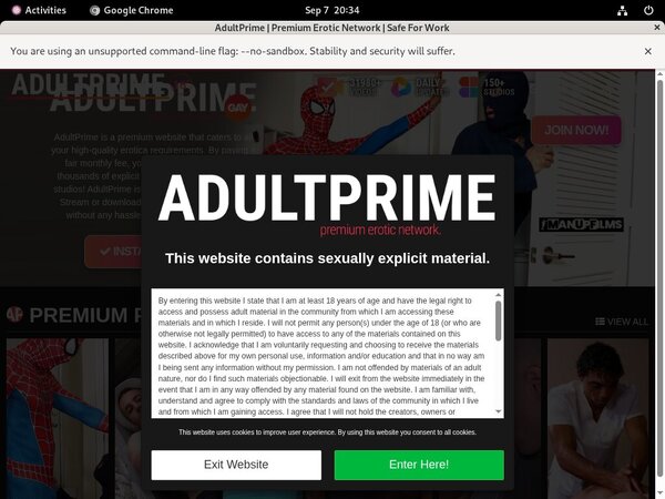 Adult Prime Gay One Year