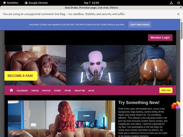 Asia Drake Pornstars