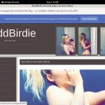 Baddbirdie.modelcentro.com Passwords Free