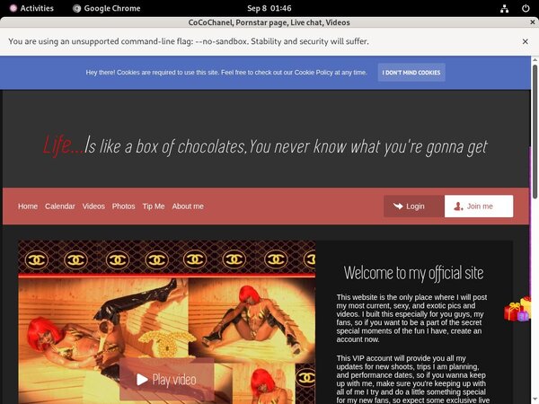 CoCoChanel Free Logins CoCoChanel Free Logins