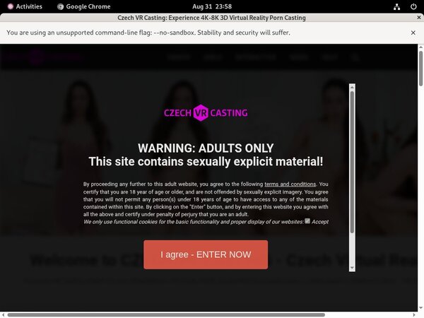 Czech VR Casting Pass Premium