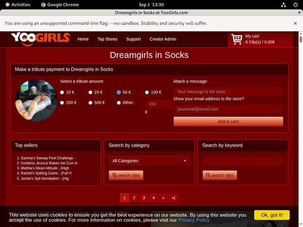 DreamgirlsInSocks Sample