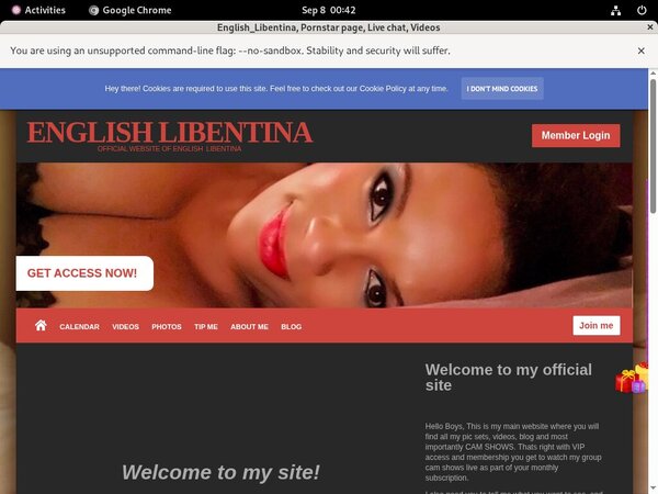 Englishlibentina.modelcentro.com Password Hack