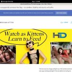 Free Americankittens User