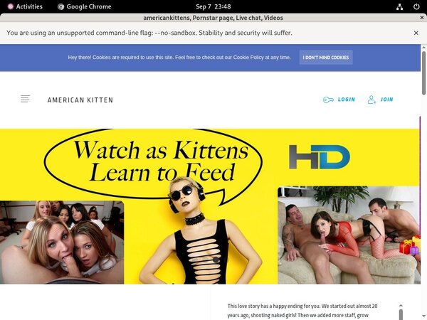 Free Americankittens User
