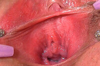 Gape My Pussy Account 2015 s1
