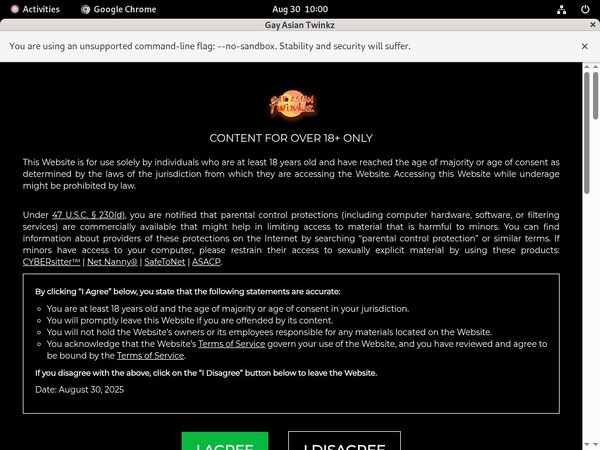 Gayasiantwinkz.com New Porn