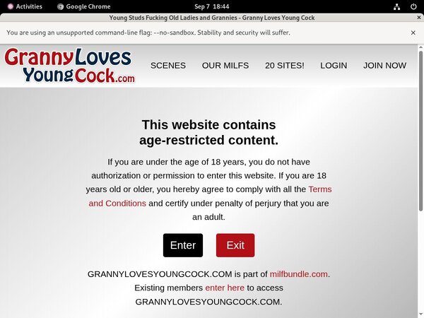 Get Granny Loves Young Cock Deal