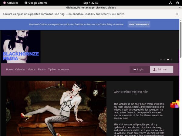 Gigixxxs Checkout Page