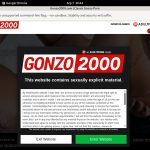 Gonzo 2000 Scenes