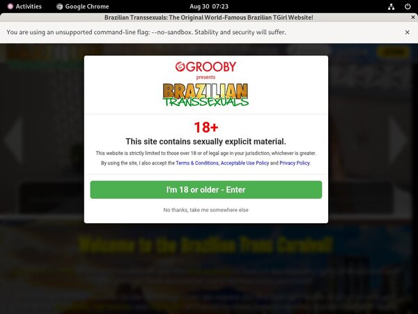 Hot Brazilian Transsexuals