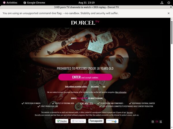 Is Dorceltv Worth It