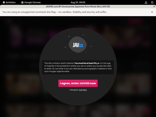 JAV HDpasswords