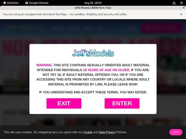 Jeff's Models Passwords 2017