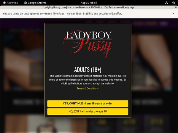 Ladyboy Pussy Passwords 2019