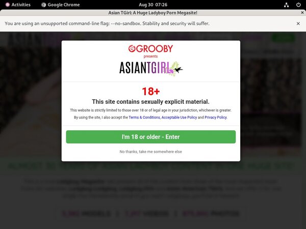Ladyboyladyboy Fetish