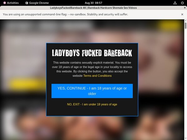 Ladyboysfuckedbareback.com Login Information