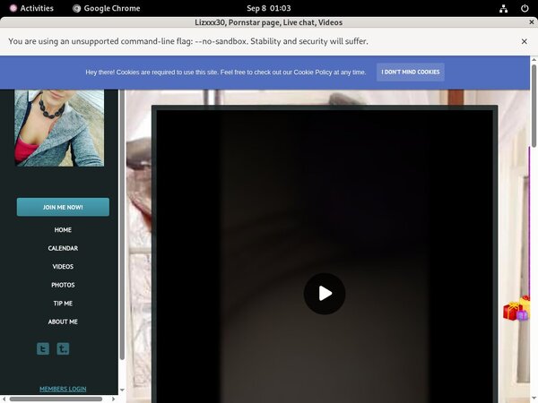 Lizxxx30.modelcentro.com Gratis Password