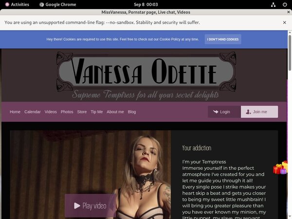 Missvanessa.modelcentro.com Using Pay Pal