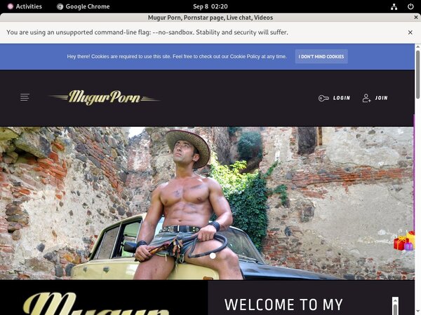 Mugursworld.com Films