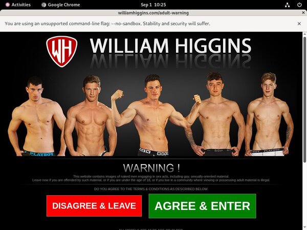 New Williamhiggins Site Rip