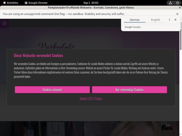Parkplatzluder19 Updates