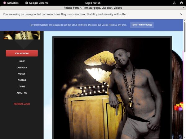 Rolandferrari.modelcentro.com Site Reviews