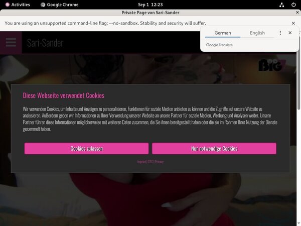 [Image: SariSander-Special-Deal.jpg]