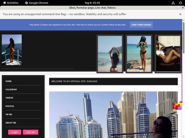 Sibel.modelcentro.com Logon Sibel.modelcentro.com Logon