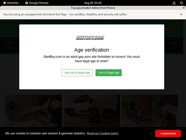 Sketboy Password Share