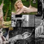 Subspace Land Discounted Membership Subspace Land Discounted Membership