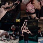 Subspace Land Lifetime Membership