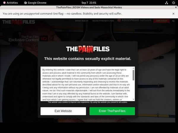 Thepainfiles Webcams