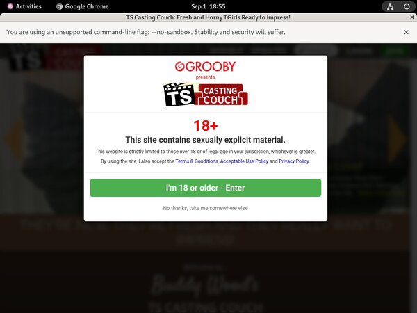 Tscastingcouch Promotion