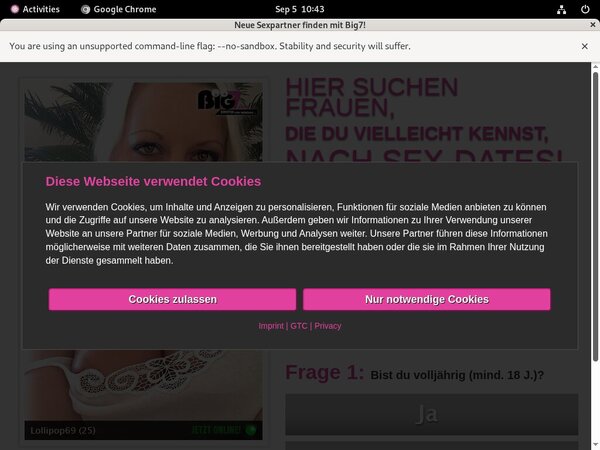 Your Secret Dream Login Passwords
