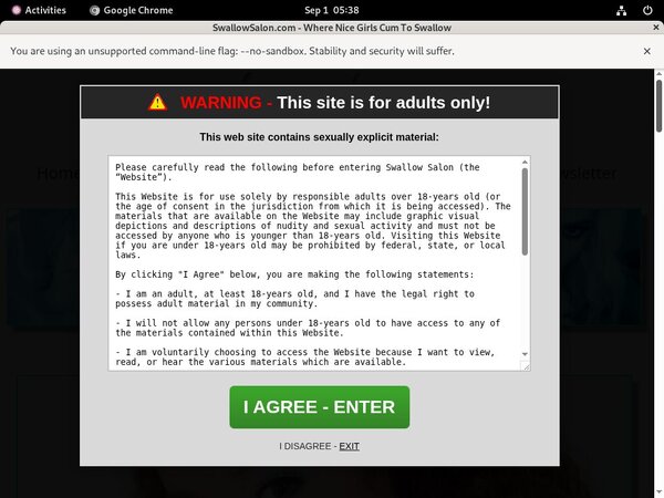 Free Porn Swallowsalon