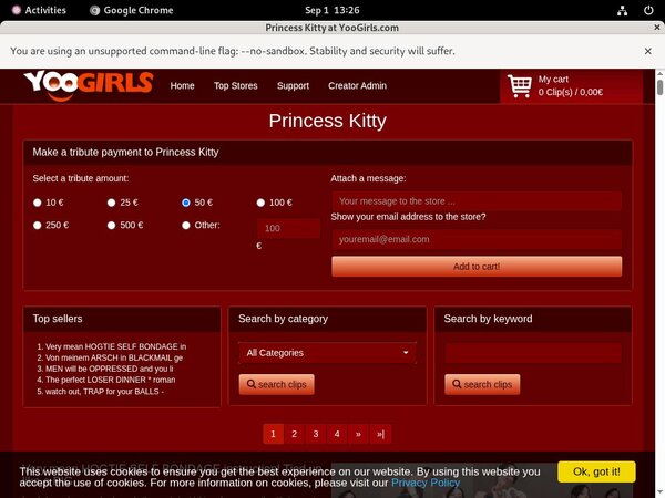 Princess Kitty Passwort