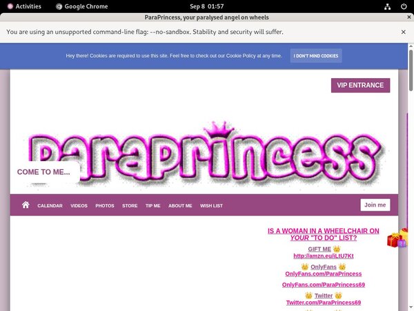 Get ParaPrincess Free Logins