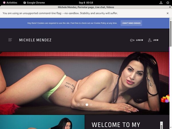 Michele Mendez Passwords