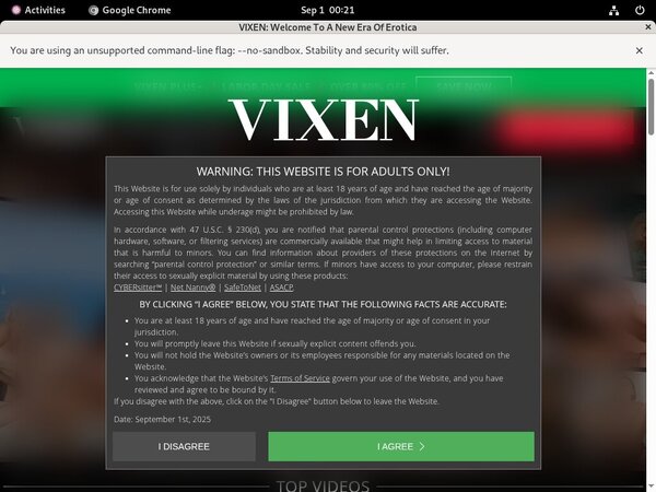 Vixen Bdsm