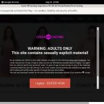 Paypal For Czechvrcasting.com